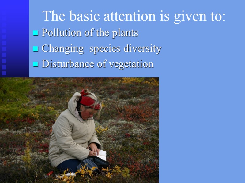 The basic attention is given to: Pollution of the plants Changing  species diversity